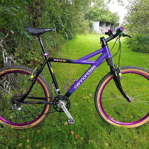 Cannondale Delta V900