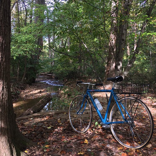 ST400 / L.L.Bean 1987 ( with a new promenade handlebar )