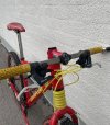 IMG_9828.JPEG